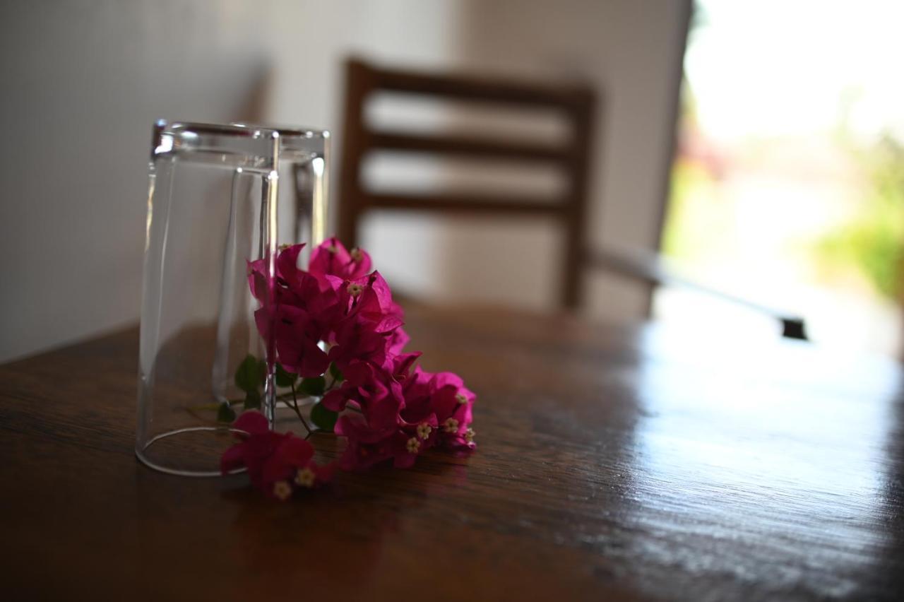 Tiande Boutique Hotel ปวานี มาชังกานี ภายนอก รูปภาพ